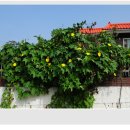 지문리입구 이미지