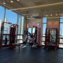 변현선의 풀바디짐 이미지