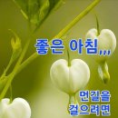 그대는 사랑보다 더 아름다운 향기 이미지