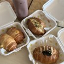 신씨네마을 | 2026년 ver. 백문백답