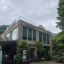 경남 고성 가볼 만한 곳, 16만 평 수국 비밀의 정원 '그레이스 정원' 여행 후기