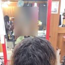 엘르리헤어 이미지