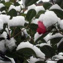 거제기상관측소 이미지