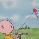 국립해양박물관 화장실(외부) 이미지