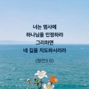 오월 Daum카페