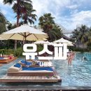 해변 - 용인시 수지구 수지로 70-1 | 나트랑 알리부 리조트 수영장 프라이빗 해변 유스파 후기
