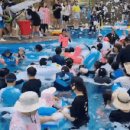 기장횟집민박 이미지