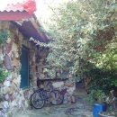 진도민박 이미지