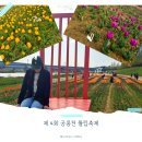 공단7로 L | 축제 전날 가본 후기 l 파주 가볼만한 곳 '공릉천 튤립축제🌷' (가는법, 무료주차, 포토스팟)