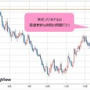 미국 달러화 약세 추세는 더욱 가속화된다! FOMC 통과로 미국 달러 매도의 걸림돌은 제거되었다! 미 달러 매도가 주 입장이지만 미 달 이미지