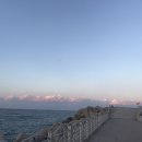 안목해변 이미지