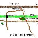 고래산농장 Daum카페