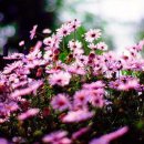 아름다운날 이미지