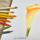 프리즈마 111 이미지