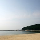 천리포항 이미지