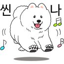 쓰리리버스 이미지