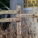 도곡3리 궁마을 이미지