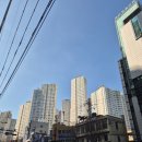 남향동 | 대연 디아이엘 임장후기 부동산 매수 고민 이야기