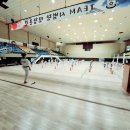 팀태권도 이미지