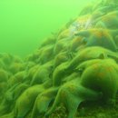 연안낚시터 이미지