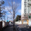 충주남산유치원 | 충주 용산주공2단지 아파트 계약후기
