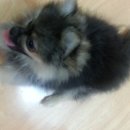 우리콩