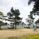 대성캠핑카 이미지