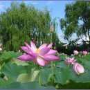 오도일 초상화 이미지