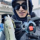 데바컴퍼니