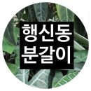충장로123번길 이미지
