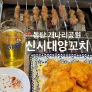 시대공원 | [동탄] 개나리공원 신상 양꼬치 맛집 “신시대양꼬치” 내돈내산 솔직후기