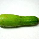 애호박 이미지