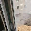 테일웨거 이미지