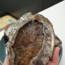 완도전복삼계탕 이미지