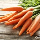 당근(carrot) 이미지