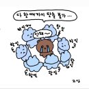 하나피드 이미지