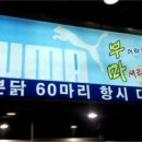 갤러리폰 이미지