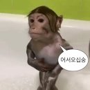 J.H GYM 태권도장 | ((최종 미침 발현)) 남자배구 보러 중국 간 썰 푼다