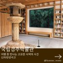 경주문화유산해설 | 국립경주박물관 굿즈샵, 신라천년서고 가는길, 신라미술관 관람후기