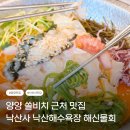 해신초장 | 양양 쏠비치 근처 맛집 낙산사 리조트 낙산해수욕장 해신물회