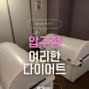 여리한 다이어트(압구정점) | [압구정 다이어트] 여리한다이어트 압구정점 : 상체 고민 해결하고 온 솔직 후기