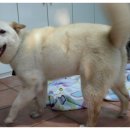 월드동물병원 이미지