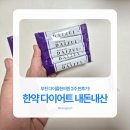 다이즐한의원 | 부천 다이어트 내돈내산 : 다이즐한의원 한약 다이어트 2주 찐후기 (-3.6kg)