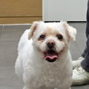 계양SKY동물메디컬센터 이미지