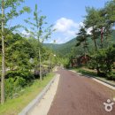 아쿠아틱 리조트 이미지