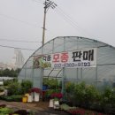 다은 농장 이미지