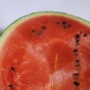 혜원상회 이미지