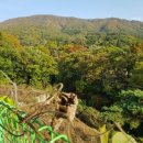 코베아용인