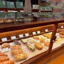 카페 클로버 | 전주 신시가지 감성 베이커리카페 네잎클로버 내돈내산 후기