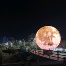 으능정이문화의거리 이미지